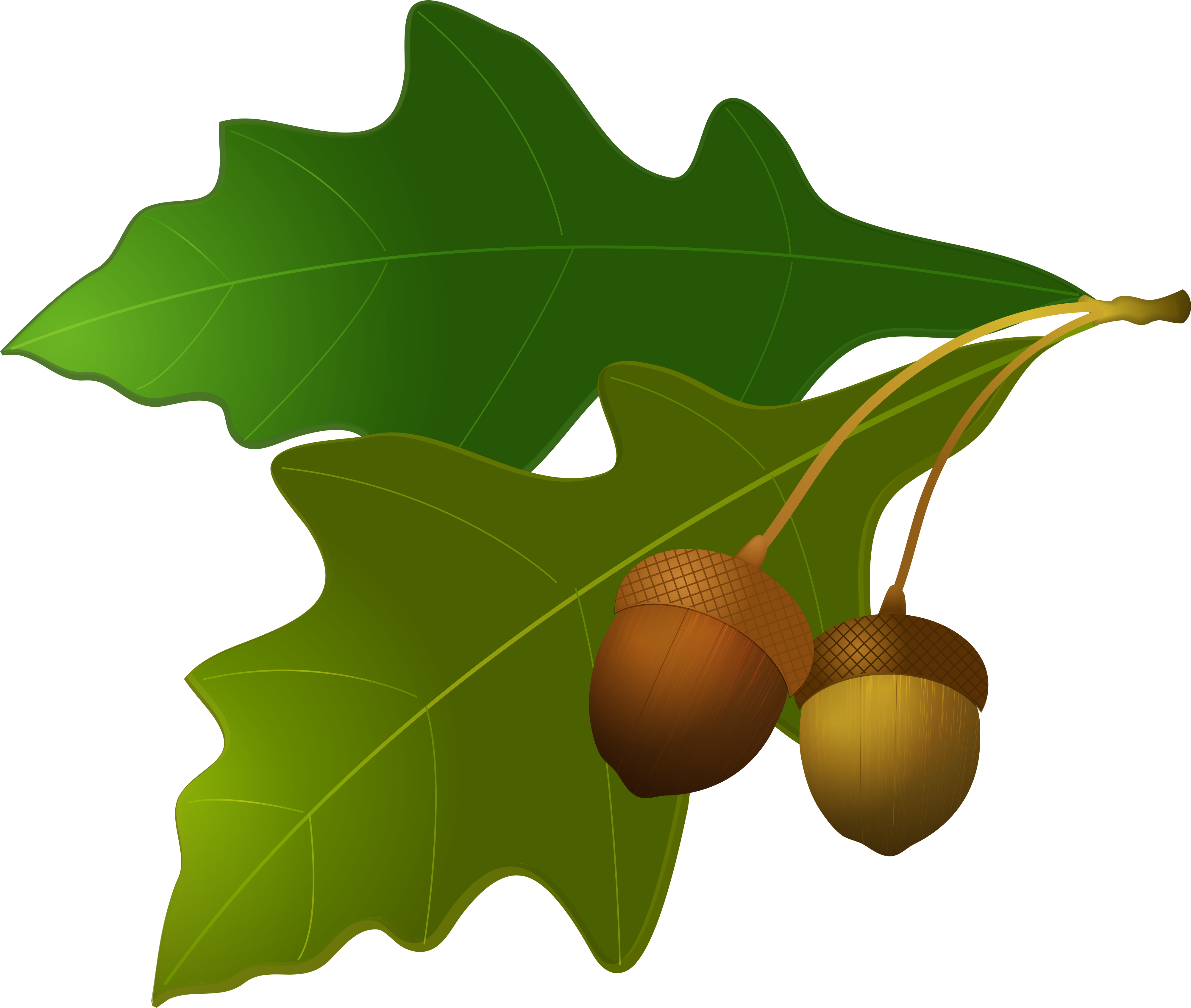 Acorn Clipart Transparent - Acornes And Oak Leaves Clip Art (4284x3709)