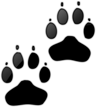 Dog Paw Print Clip Art - Dog Paw Print Icon (512x512)