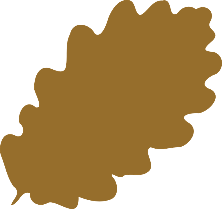 Oak Leaf Foliage Greenery Tree Forest Autumn - Brown Leaf Clip Art Png (763x720)