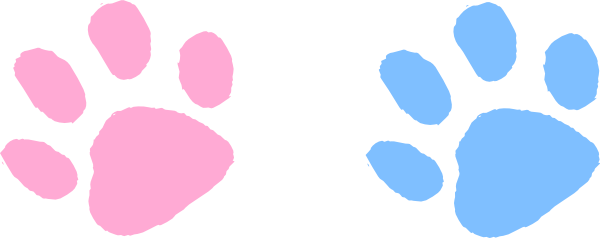 Paw Clipart Pink - Blue And Pink Paws (600x238)