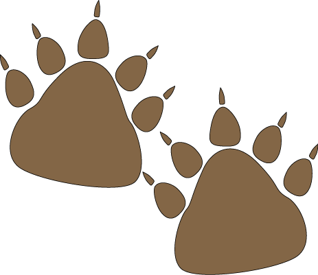 Bear Paw Prints Clip Art Image - Bear Prints Clip Art (463x401)