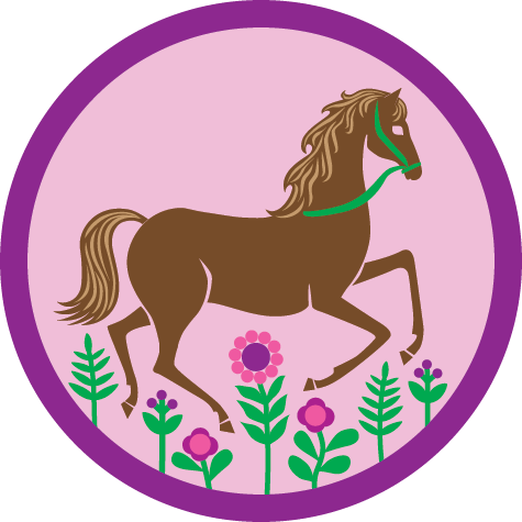 Junior Horseback Riding Badge Requirements - Junior Horseback Riding Badge (475x475)