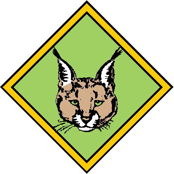 Caracal Caracal Caracal - Caracal (353x353)