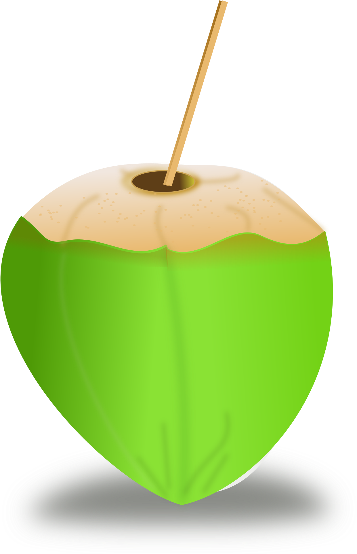 Coconut Clipart Icon - Green Coconut Clipart (2400x2400)