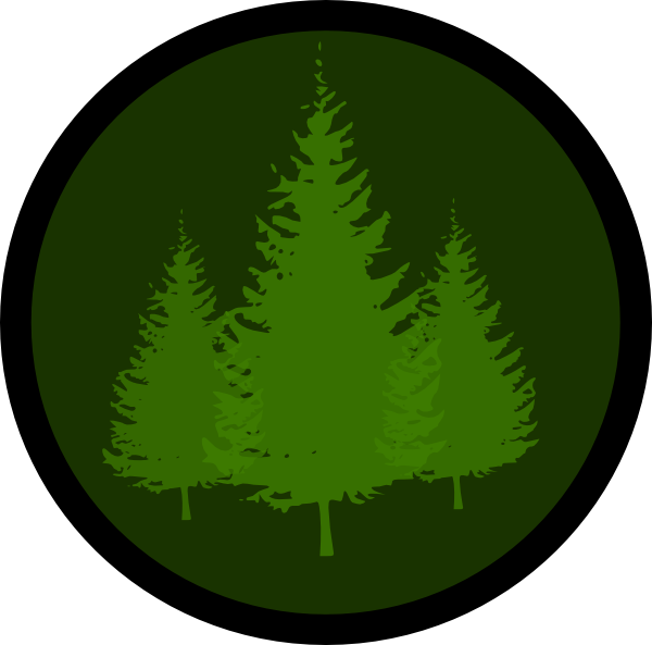 Evergreen Symbol 1 Clip Art - Set Of 3 Christmas Trees With Color Changing Led Lights (600x593)