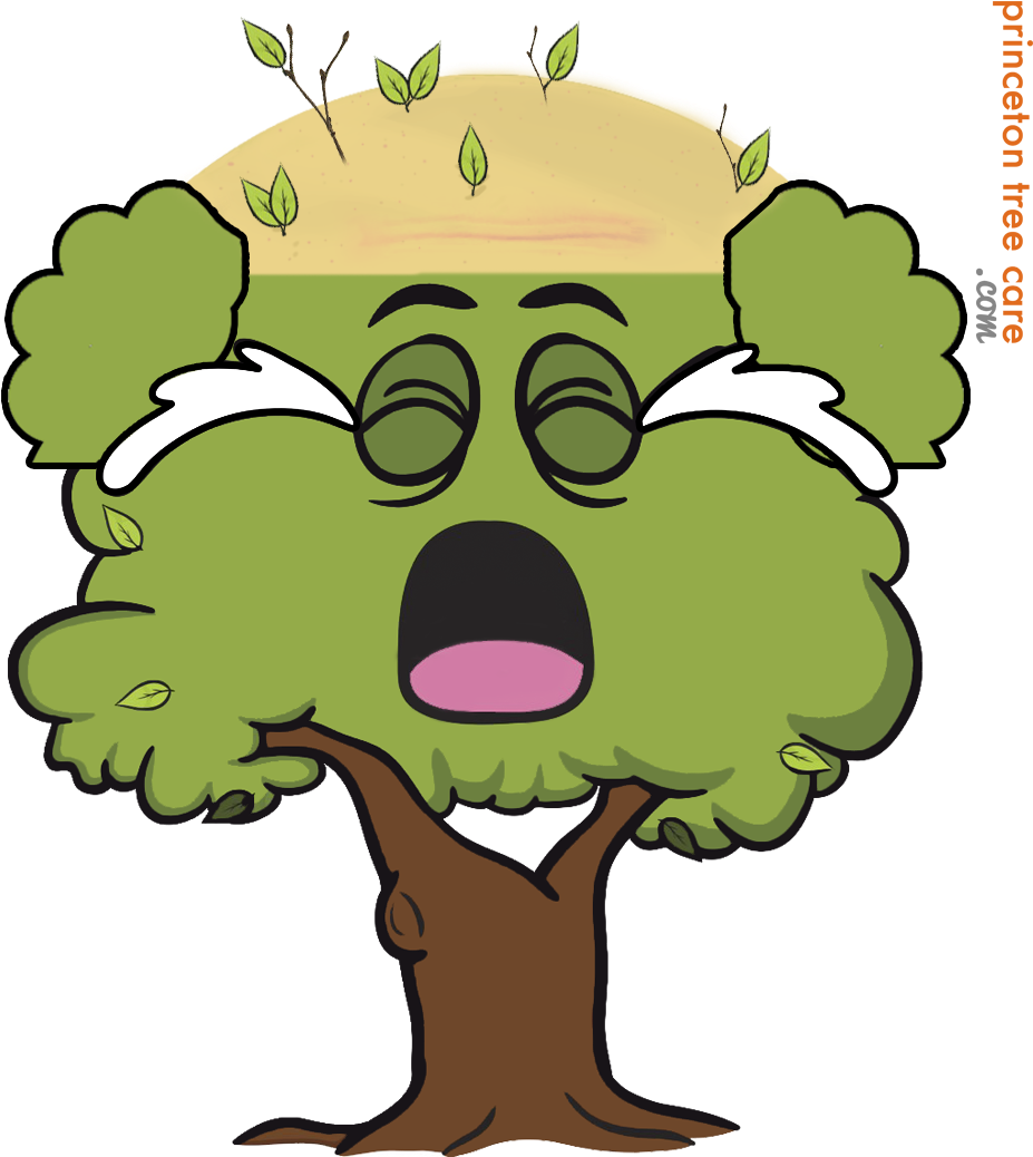 Tree Topping - Cartoon Trees With Sad Faces (980x1045)