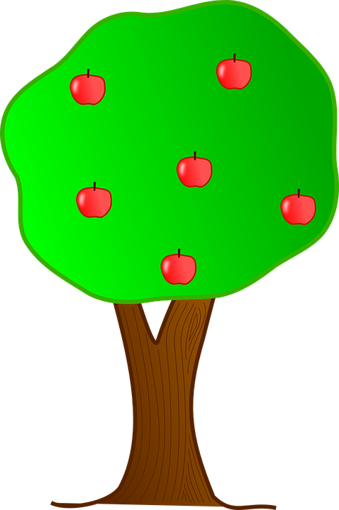 Apple Tree Apples Fruit - Cartoon Trees With Apples (478x720)