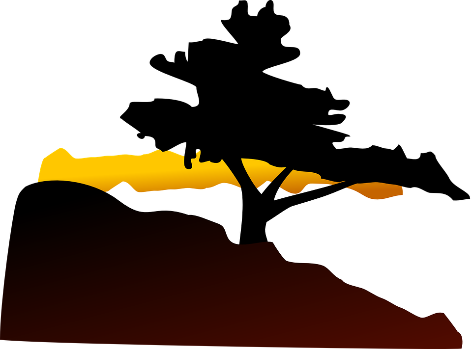 Tree, Hill, Sunset, Landscape, Twilight - Bonsai Tree Clip Art (960x711)