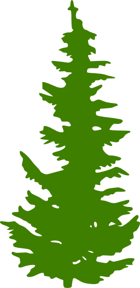 Evergreen Tree Silhouette (288x590)