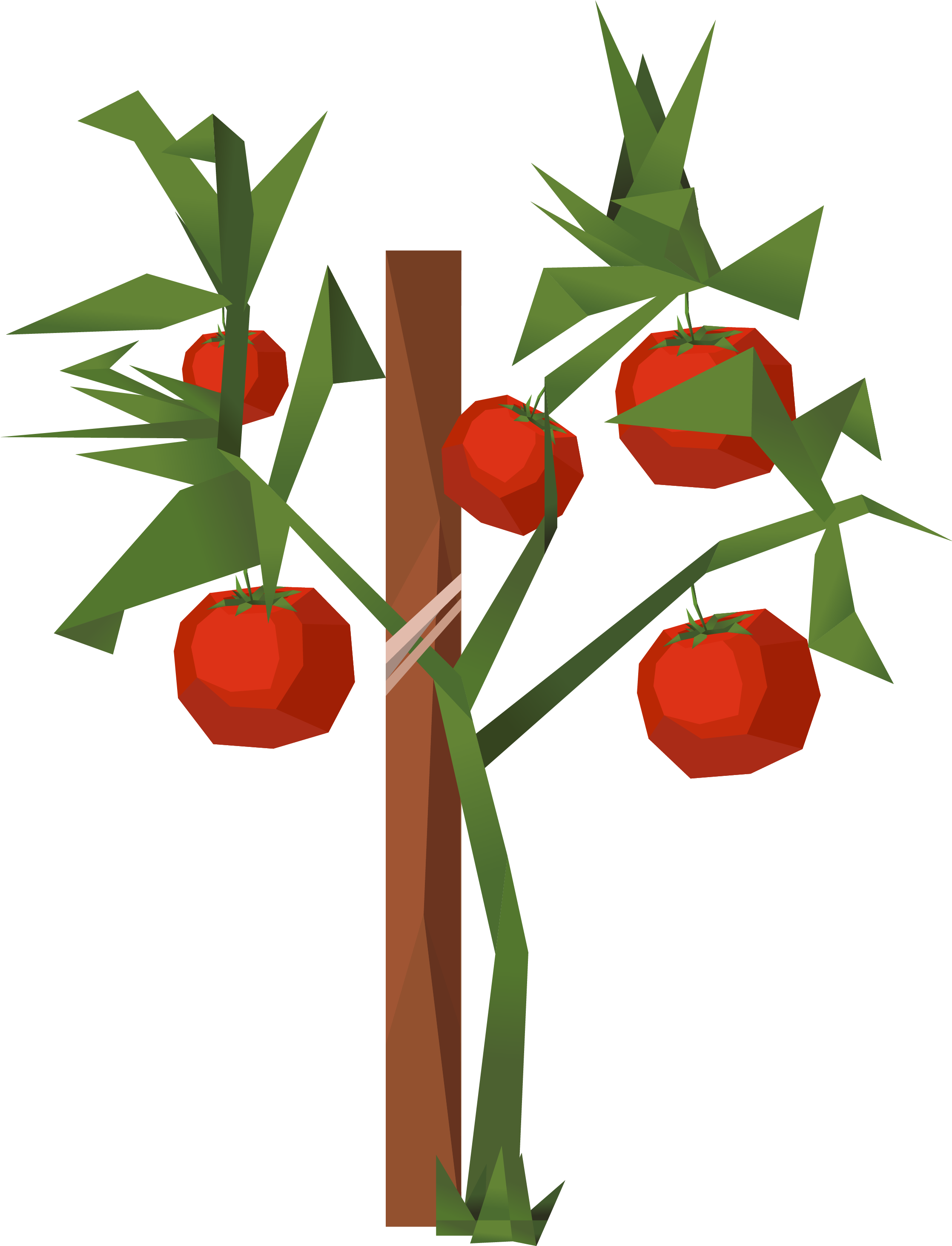 Tomato Clip Art - Tomato Clip Art (3128x3528)