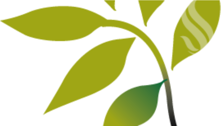 Online Giving Icon - Donation (960x480)