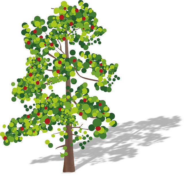 Fruits, Green, Red, Leaves, Apple Tree - Carbon Dioxide Oxygen Cycle (640x610)