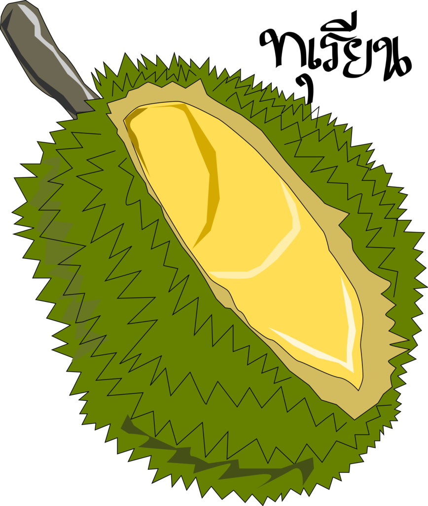 Cartoon Fruit Clip Art - Durian Clip Art (868x1024)