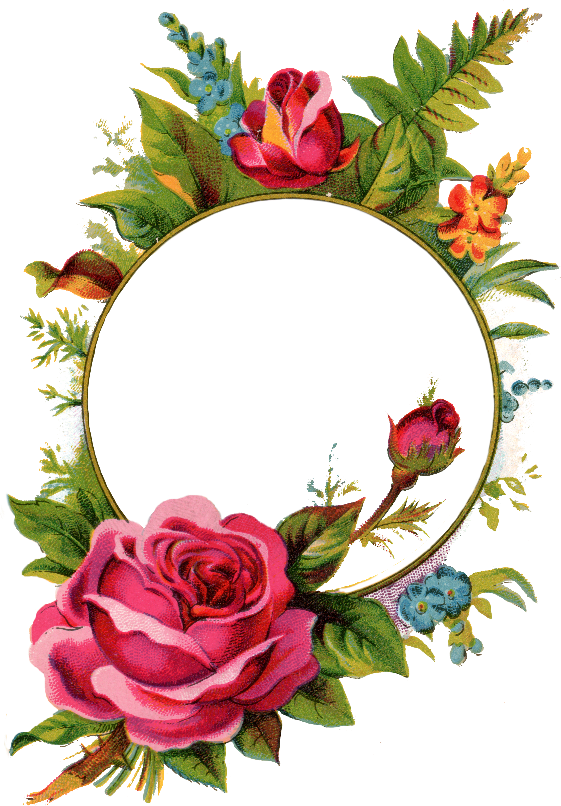 Free Stock Images Rose Frame - Rose Frames (1962x2895)