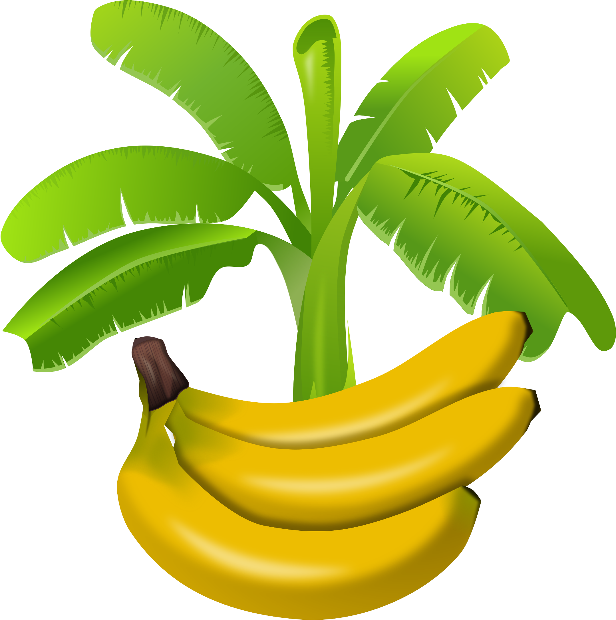 Banana Banana Tree Clipart Png Full Size PNG Clipart Images Download