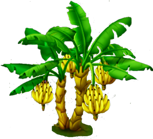 Banana Tree - Plants (580x523)