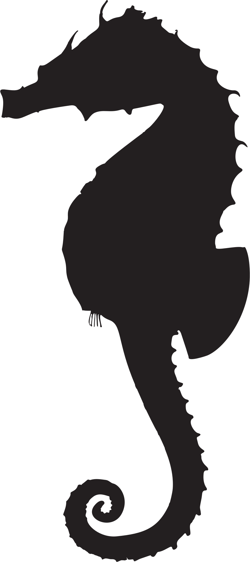 Clipart - Sea Horse Silhouettes (1013x2274)