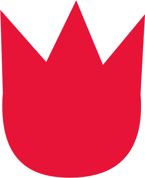 Tulip Clip Art Border Free Clipart Images - Clipart Of A Tulip (480x599)