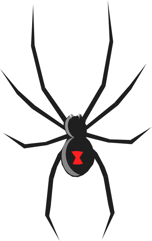 Related Clip Art - Black Widow Spider Drawing (483x767)