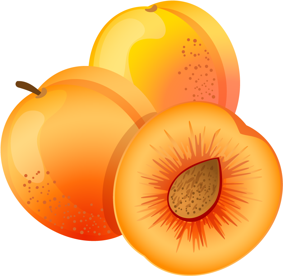 Apricot Clipart (951x917)