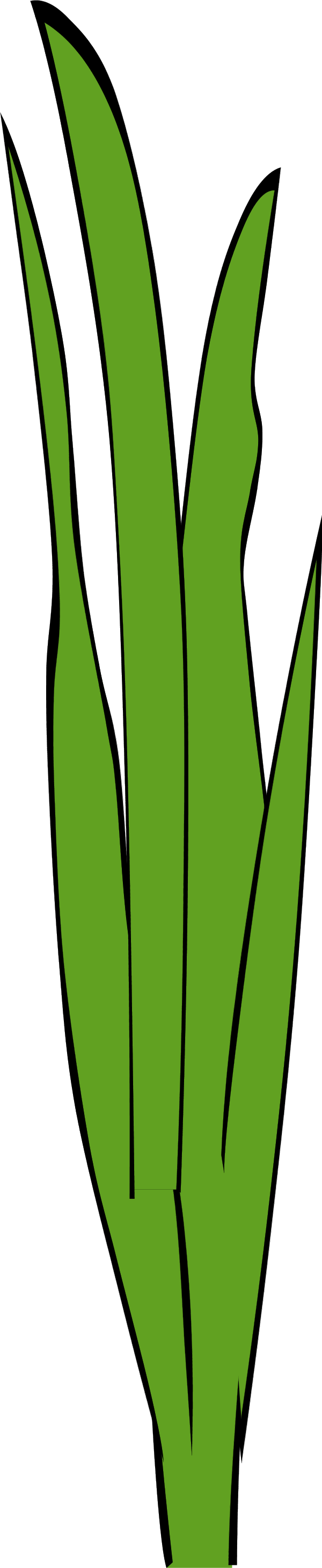 Sea Grass Clipart Animated - Blade Of Grass Clipart (600x2918)