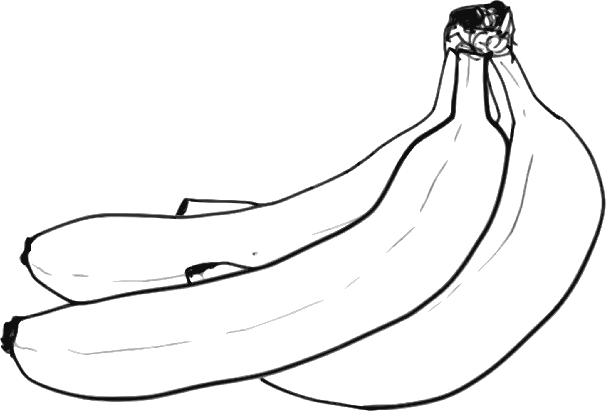 Big Image - Bananas Black And White (2063x1400)