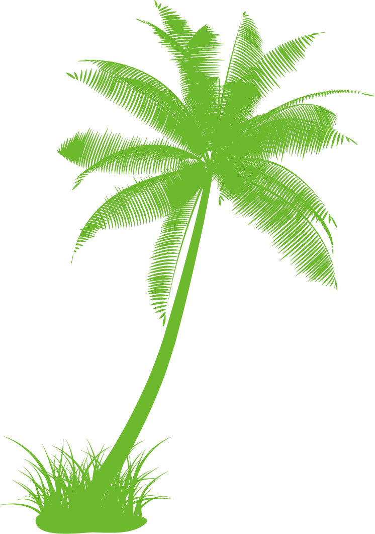 Arecaceae Drawing Tree Black And White Clip Art - Palm Tree Clip Art (746x1060)