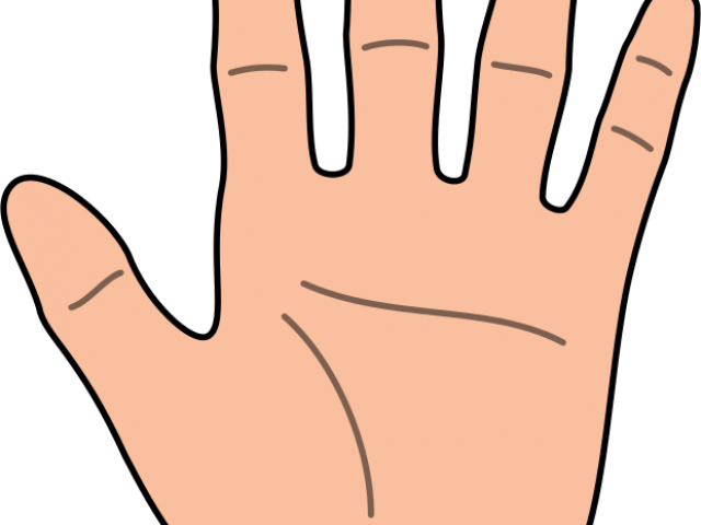 Fingers Clipart - Clip Art (640x480)