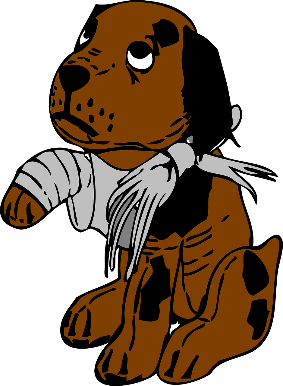 Emergency Vet Care - Hate People Who Hurt Animals (939x1280)