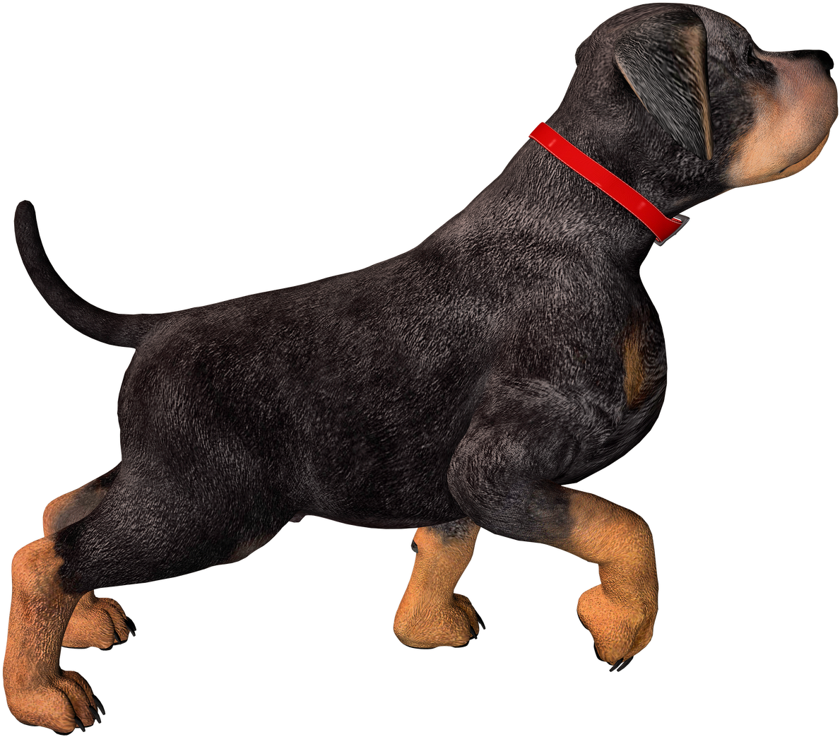 Free High Resolution Graphics And Clip Art - Dog Png Images Hd (1600x1131)