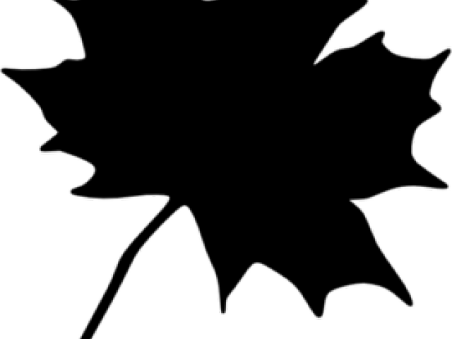Leaves Black Cliparts - Maple Leaf Clip Art (640x480)