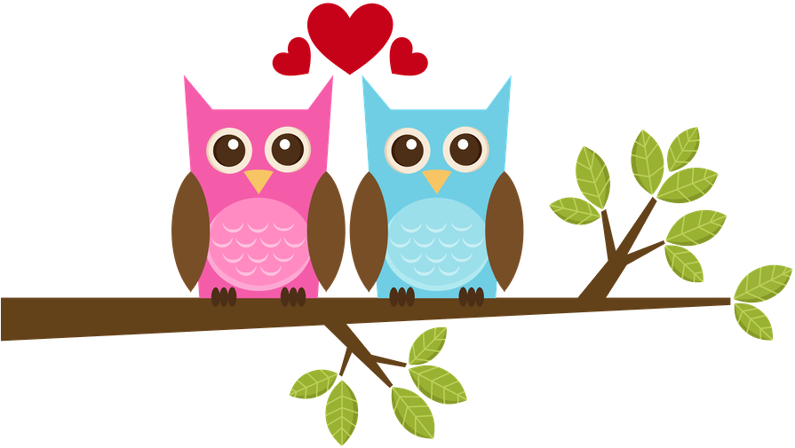 Clip Art - Two Owls On A Branch Throw Blanket (900x580)