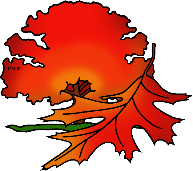 New Jersey State Tree - State Tree Of New Jersey (648x589)
