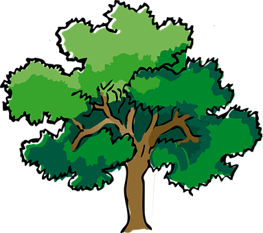 Oak Tree Summer Branches Leaves Trunk Matu - Vanadeviyin Mainthargal (383x340)