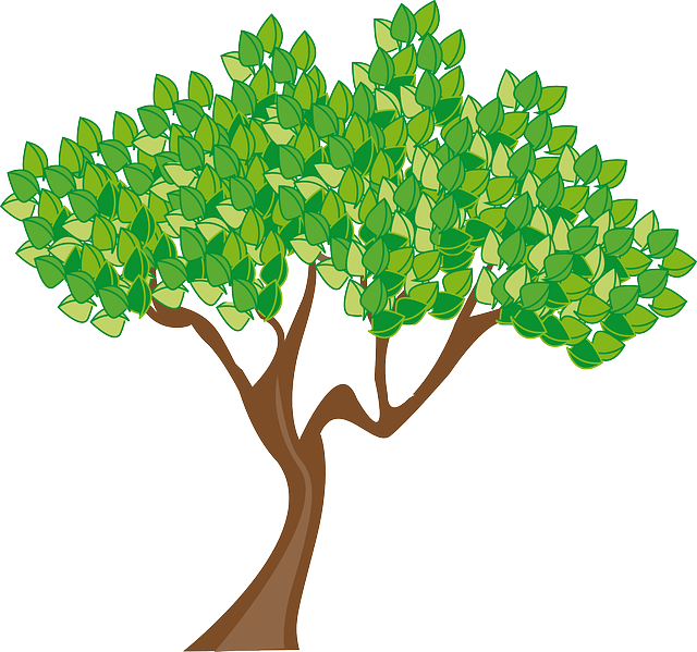Season Summer Tree Leaves Green Trunk Wood - Spring Trees Clip Art (640x599)