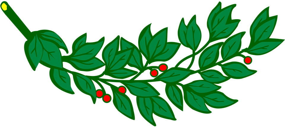 Branch, Laurel, Leaf, Leafy, Leaves - Branch Of Laurel (960x480)
