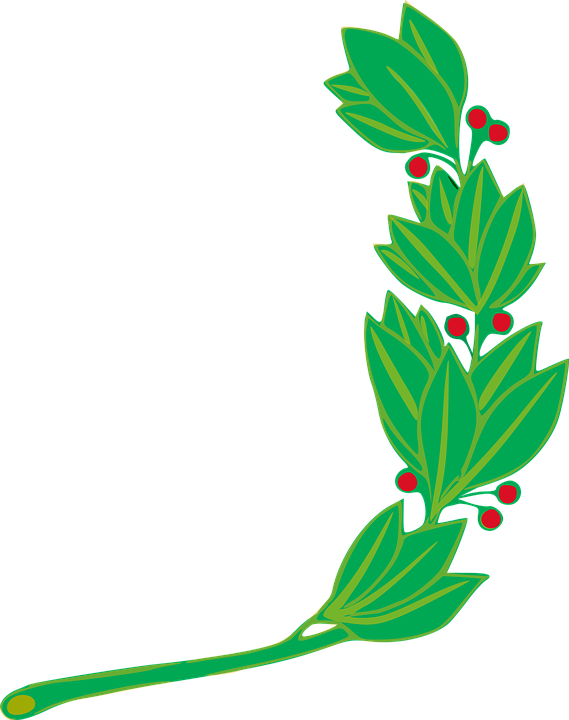 Branch, Laurel, Leaf, Leafy, Leaves - Peru Flag Symbol (1012x1280)