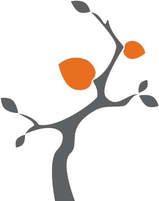 Banyan Communications - Illustration (432x432)