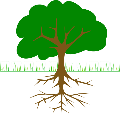 Tree, Branches, Root, Trunk, Planting - Tree Clip Art (500x479)
