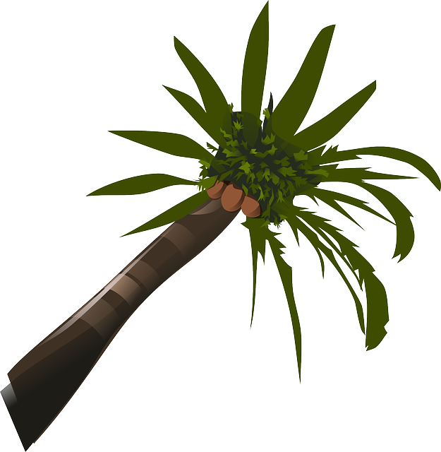 Brown, Green, Food, Palm, Tree, Cartoon, Trees, Plant - Palm Tree Clip Art (625x640)