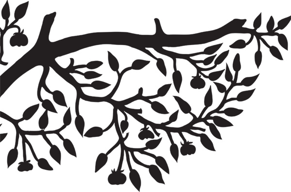 Jj Grey And Mofro Ol Glory (600x397)