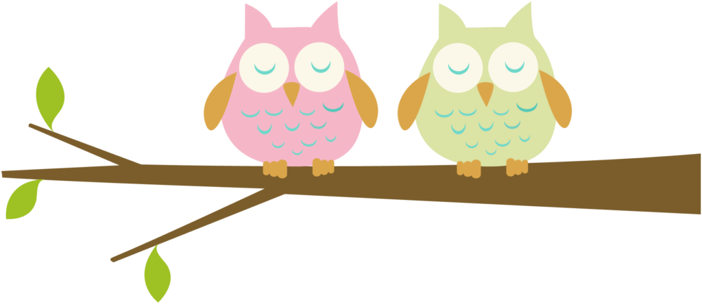 Advertisement - Advertisement - Tags - Birds Clipart - 2 Owls Clip Art (1024x444)