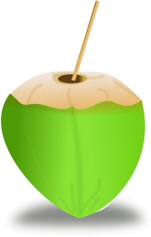 Coconut Icon Png Clip Arts - Green Coconut Clipart (800x800)