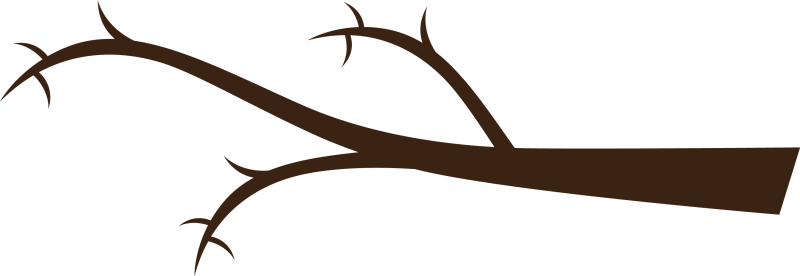 Pin Tree Branch Clip Art - Tree Branch Clip Art (800x276)