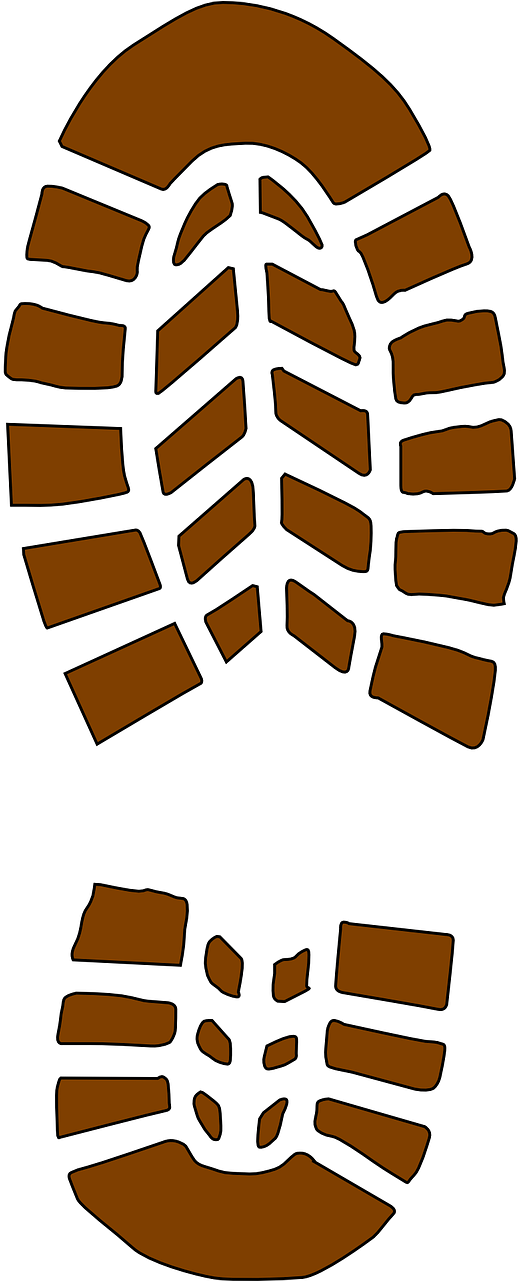 Redwood National And State Parks - Boot Print (640x1280)