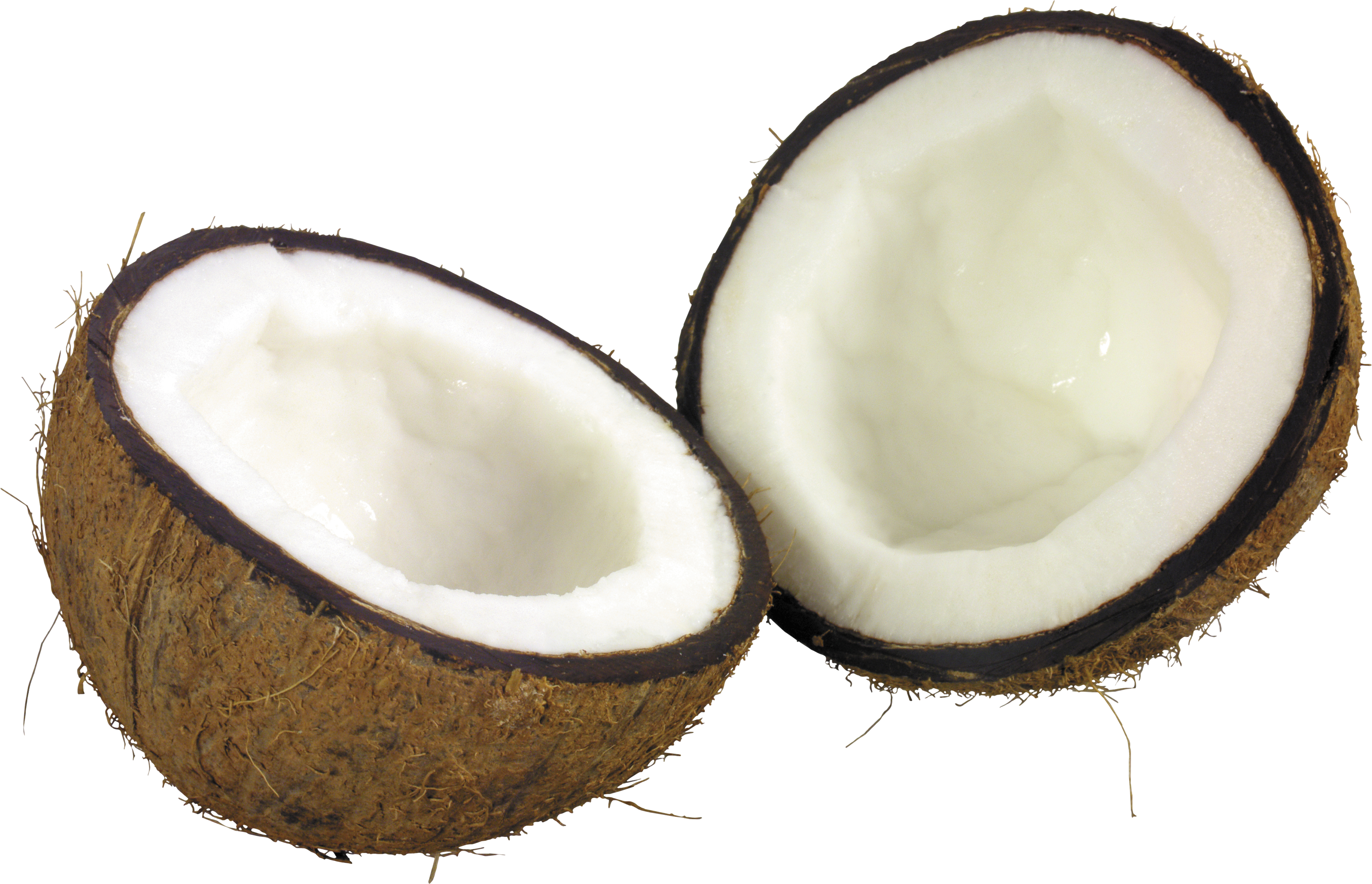 Coconut Png Image - Coconut Png (3501x2256)
