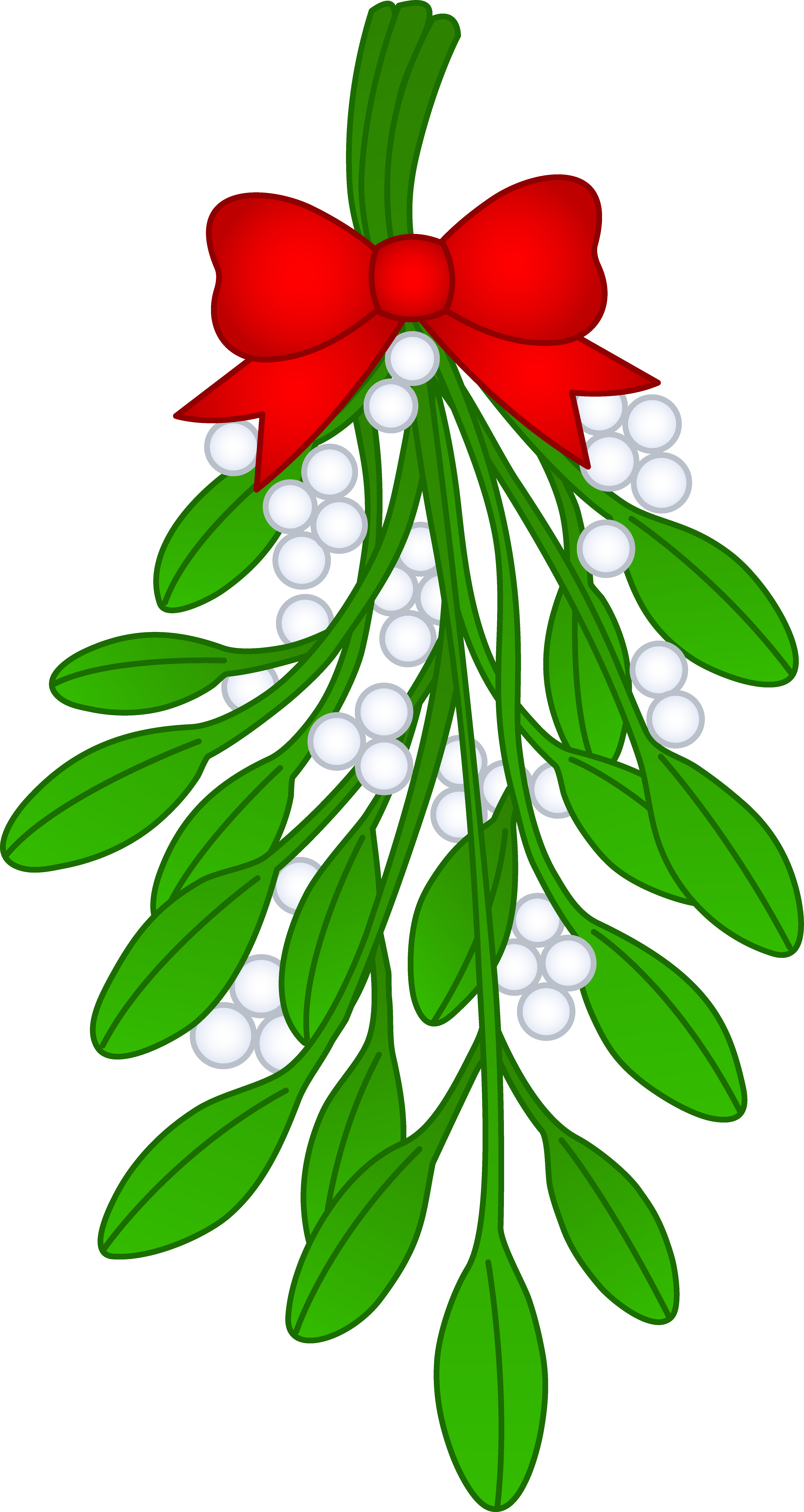 Christmas - Mistletoe Drawing (4622x8688)