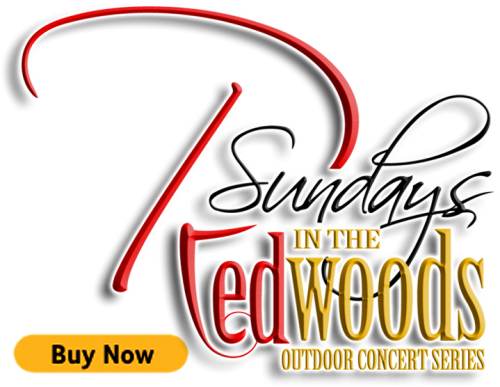 Sundays In The Redwoods Is Coming Soon - Sundays In The Redwoods Is Coming Soon (500x387)