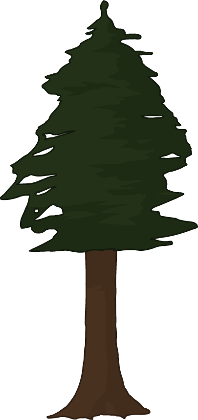Pin Redwood Tree Clip Art - Redwood Tree Clip Art (405x859)
