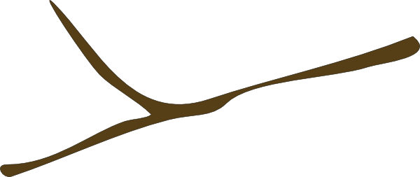 The Trees Are Given A Fresh Cut And Kept In Water As - Branch Without Leaves Clipart (600x253)